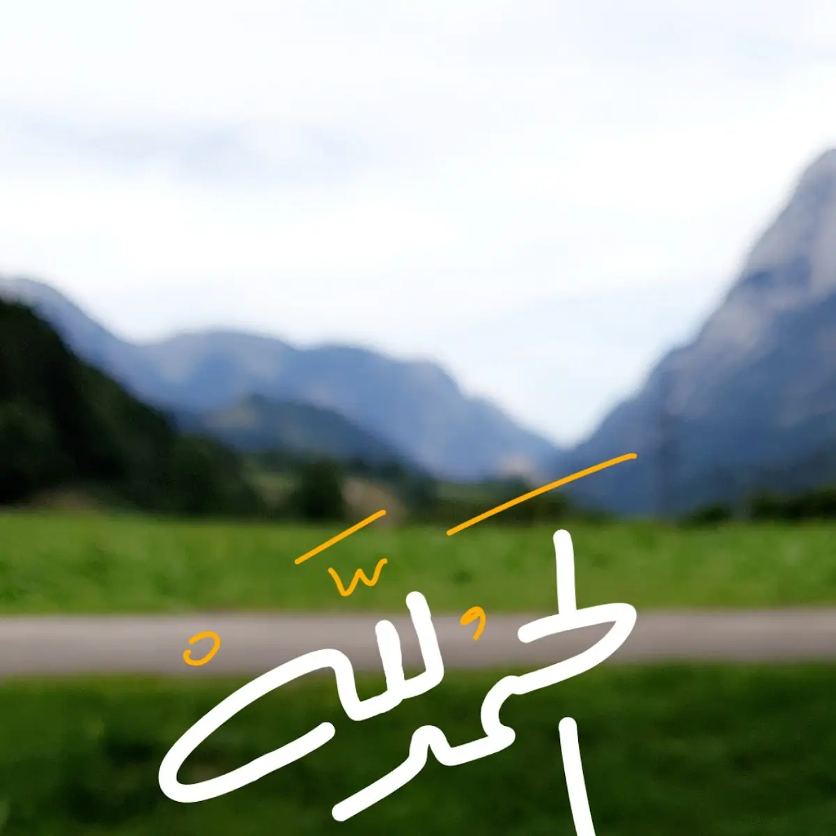 لحم غزلان مع الرز والفاكهة